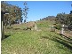 Mount Vincent NSW 2323