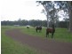 Mandalong NSW 2264