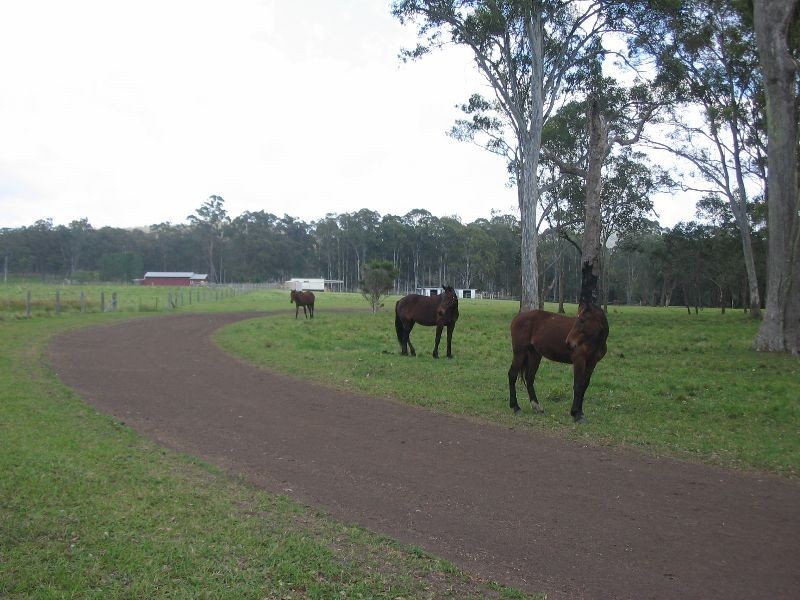 Mandalong NSW 2264