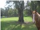 Mandalong NSW 2264