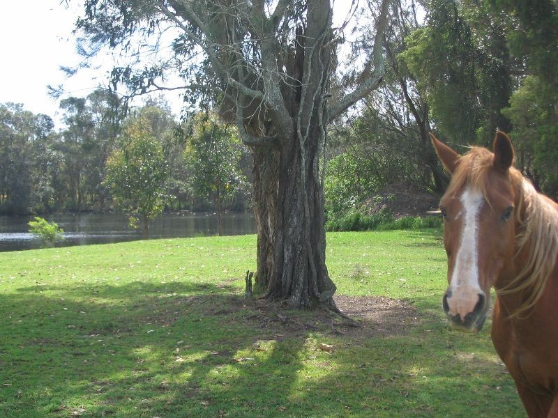 Mandalong NSW 2264