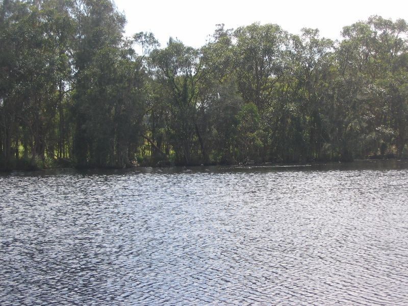Mandalong NSW 2264