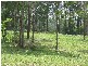 Cooranbong NSW 2265