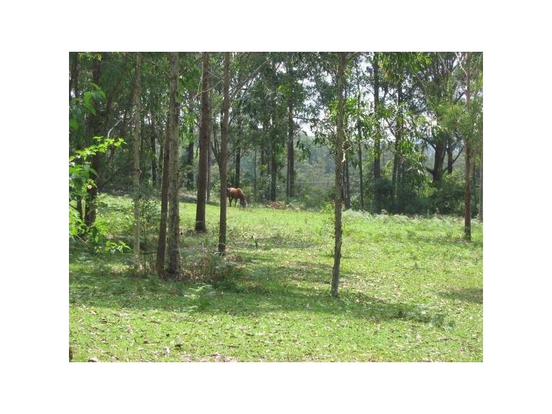 Cooranbong NSW 2265