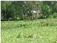 Cooranbong NSW 2265