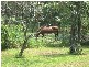 Cooranbong NSW 2265
