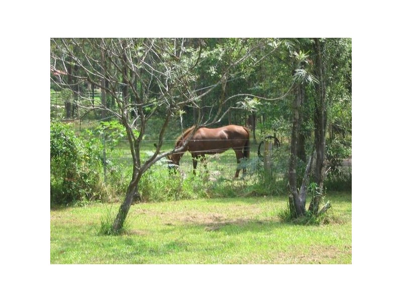 Cooranbong NSW 2265