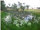 Cooranbong NSW 2265