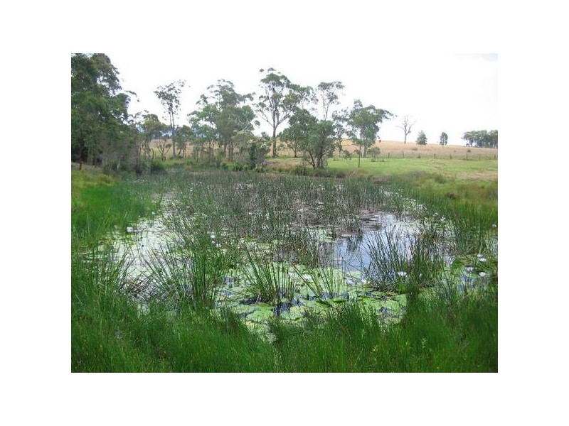 Cooranbong NSW 2265