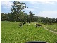 Cooranbong NSW 2265