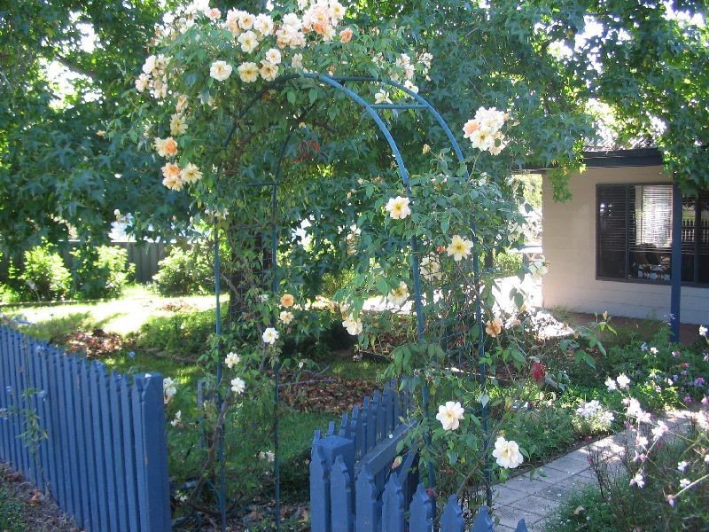 1/61 Avondale Road, Cooranbong NSW 2265