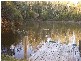 Cooranbong NSW 2265