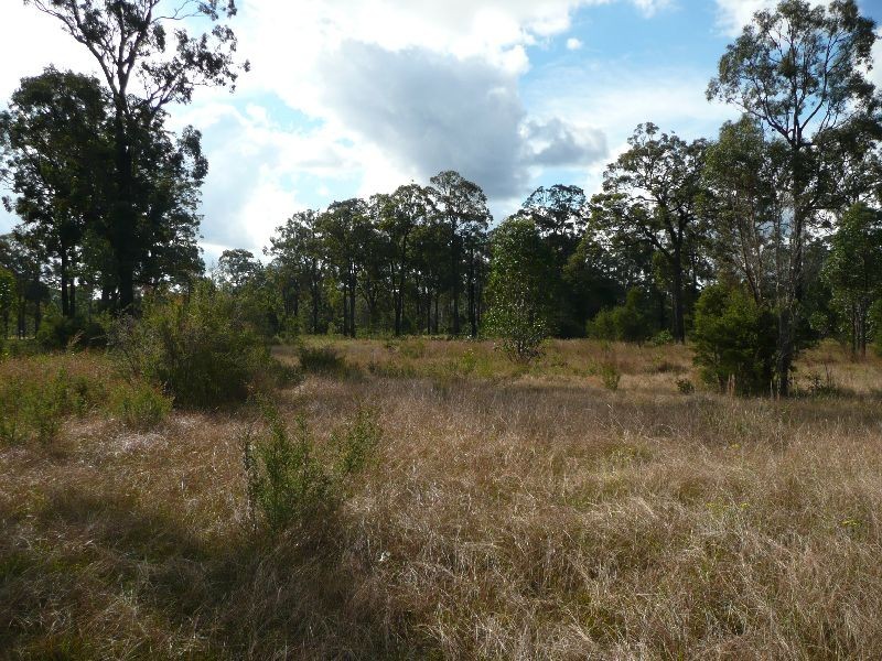 1438 Sandy Creek Road, Quorrobolong NSW 2325
