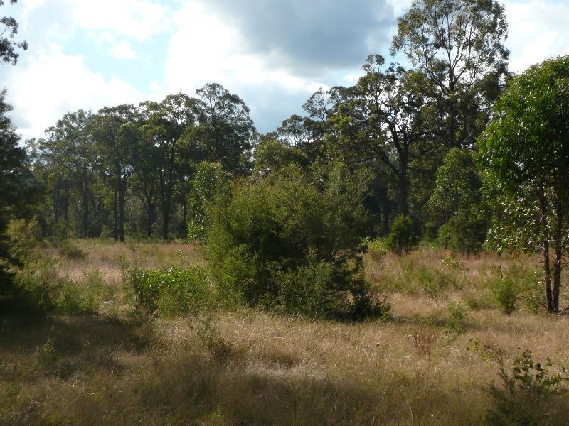 1438 Sandy Creek Road, Quorrobolong NSW 2325