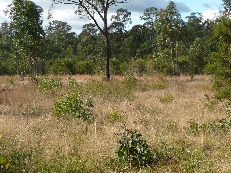 1438 Sandy Creek Road, Quorrobolong NSW 2325
