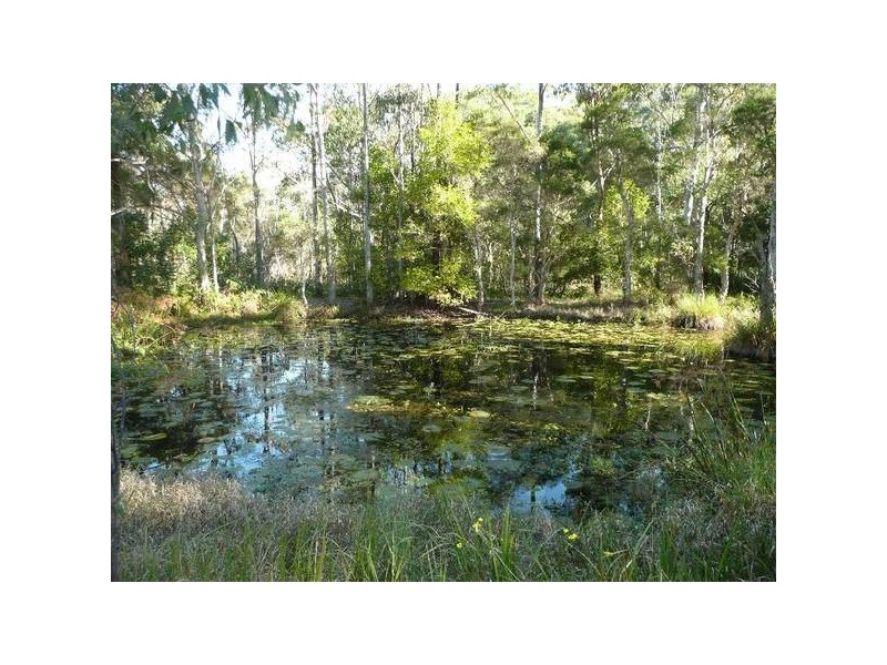 Cooranbong NSW 2265