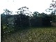 Cooranbong NSW 2265