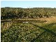 Mandalong NSW 2264