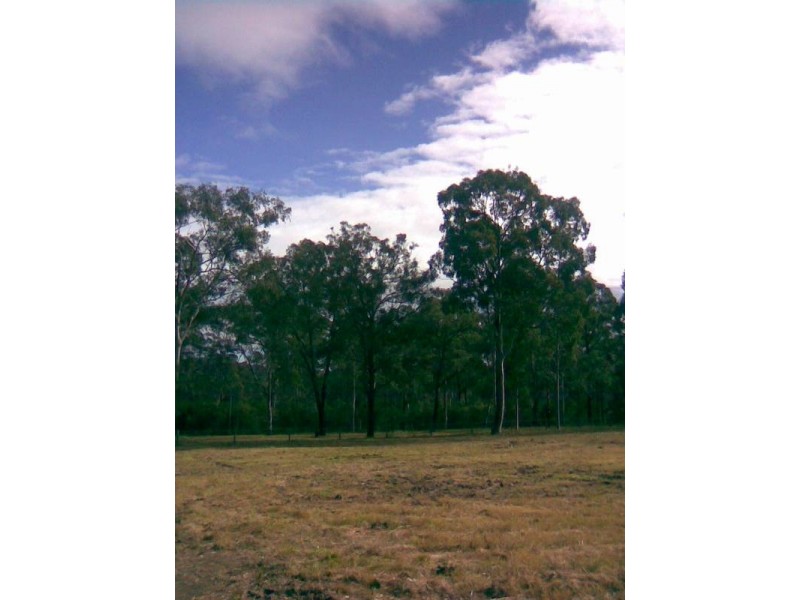 Ellalong NSW 2325