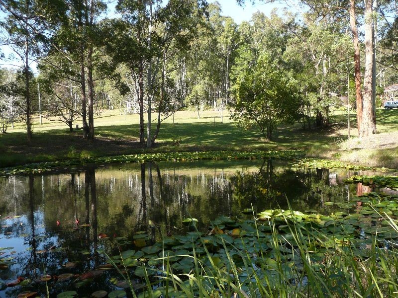 Cooranbong NSW 2265