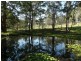 Cooranbong NSW 2265