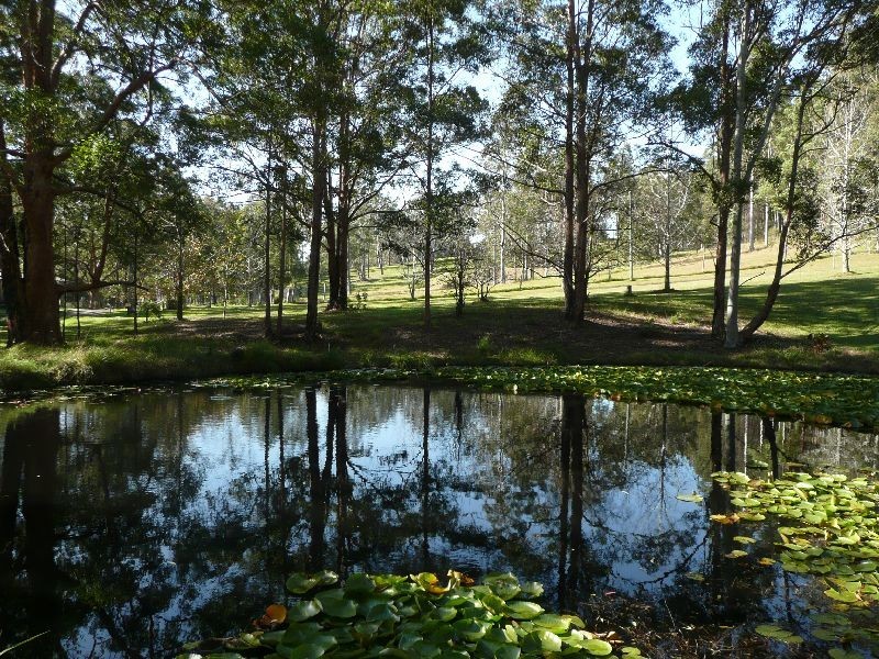 Cooranbong NSW 2265