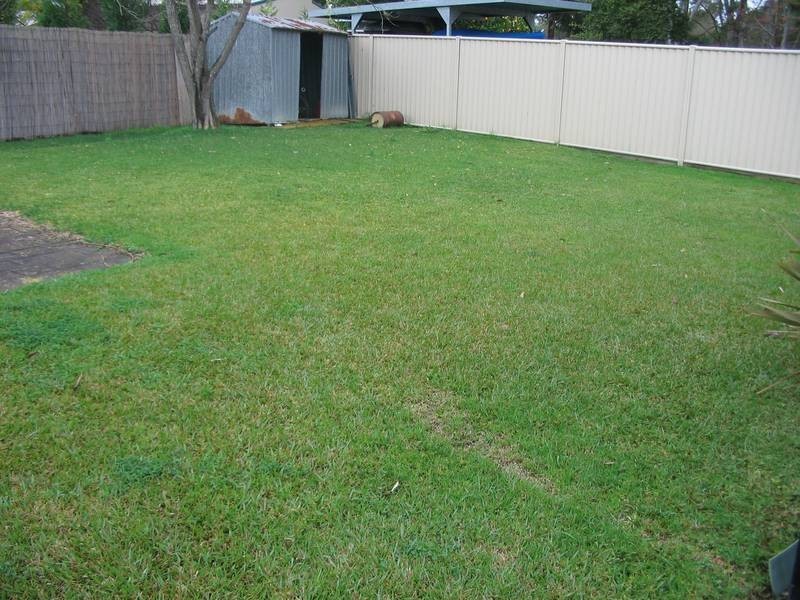 19a Babers Road, Cooranbong NSW 2265