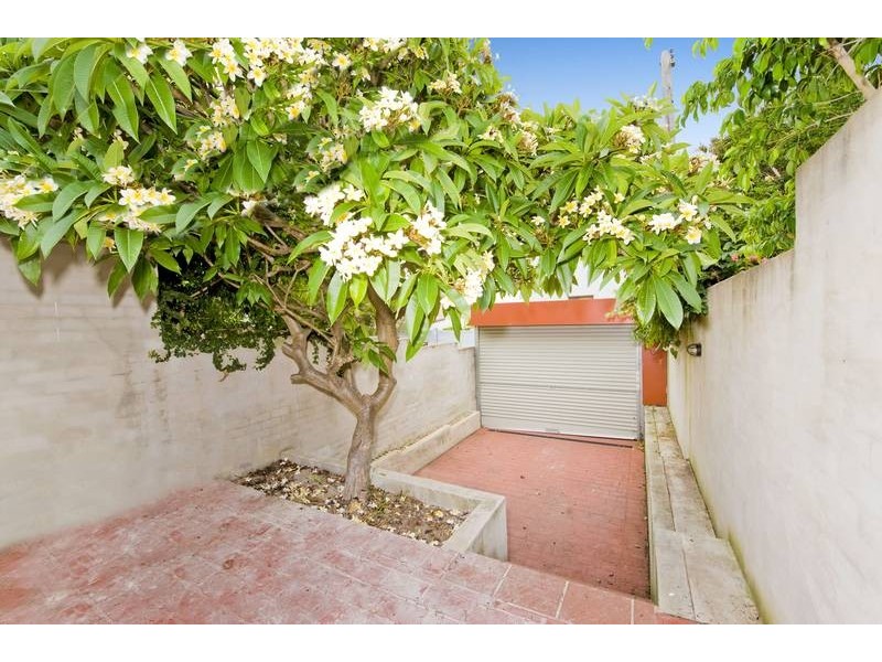 17 Mackenzie Street, Bondi Junction NSW 2022