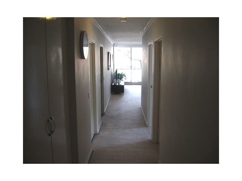 31/297 Edgecliff Road, Edgecliff NSW 2027