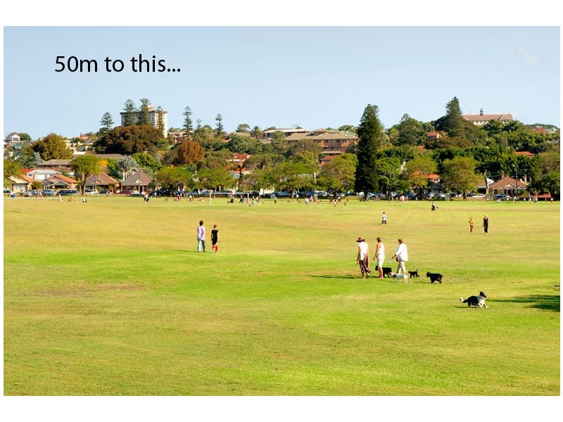 2/16 Arnold Street, Bondi Junction NSW 2022