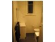 31 Lenthall Street, Kensington NSW 2033
