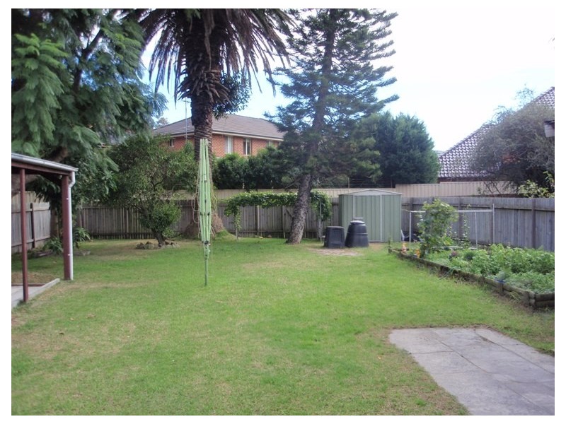 31 Lenthall Street, Kensington NSW 2033