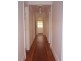 31 Lenthall Street, Kensington NSW 2033