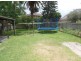 31 Lenthall Street, Kensington NSW 2033