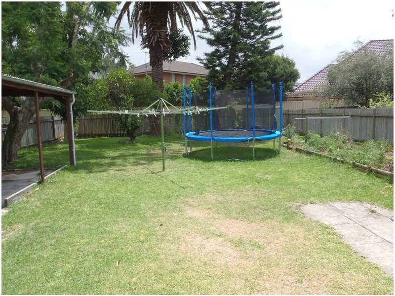 31 Lenthall Street, Kensington NSW 2033