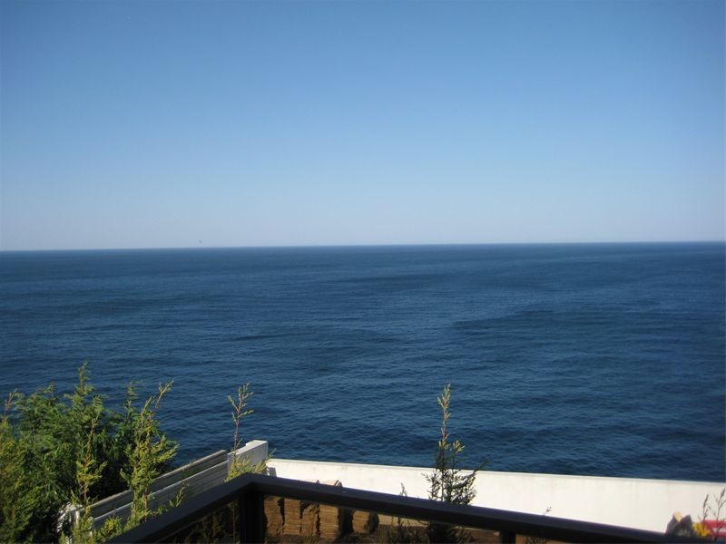 19 Hunter Street, Dover Heights NSW 2030