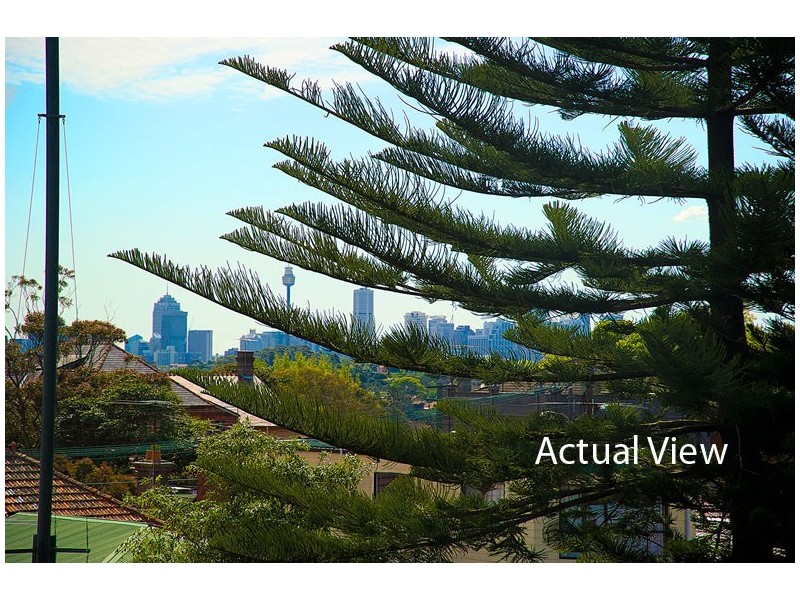 11/85 Albion Street, Randwick NSW 2031