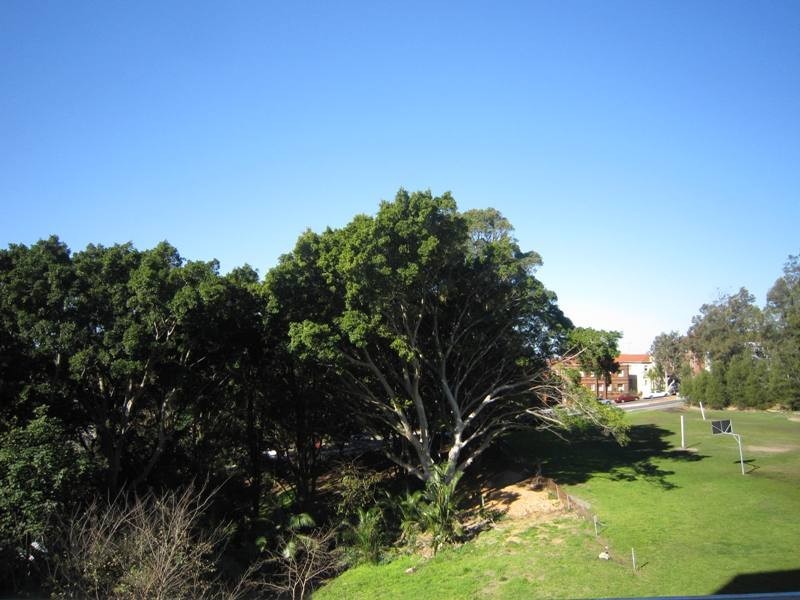 6/6-8 Ocean Street, Bondi NSW 2026