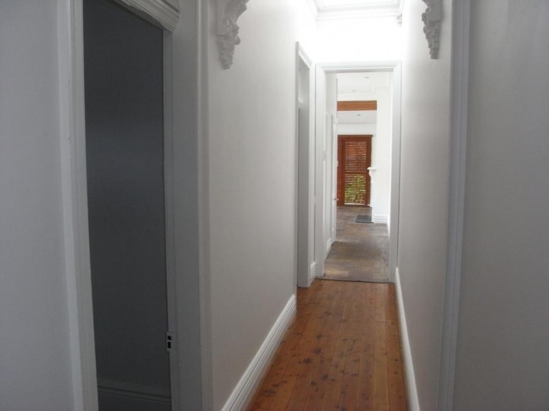 31 Henrietta Street, Waverley NSW 2024