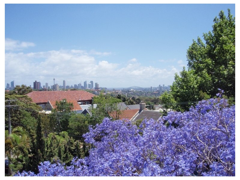 22 Edgecliff Road, Woollahra NSW 2025