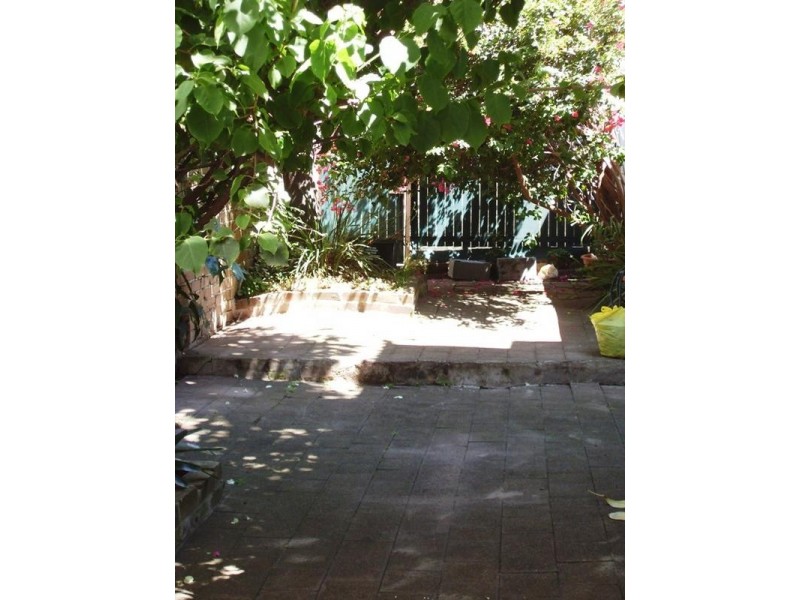 17 Olive Street, Paddington NSW 2021