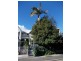 27 Ocean Street, Woollahra NSW 2025
