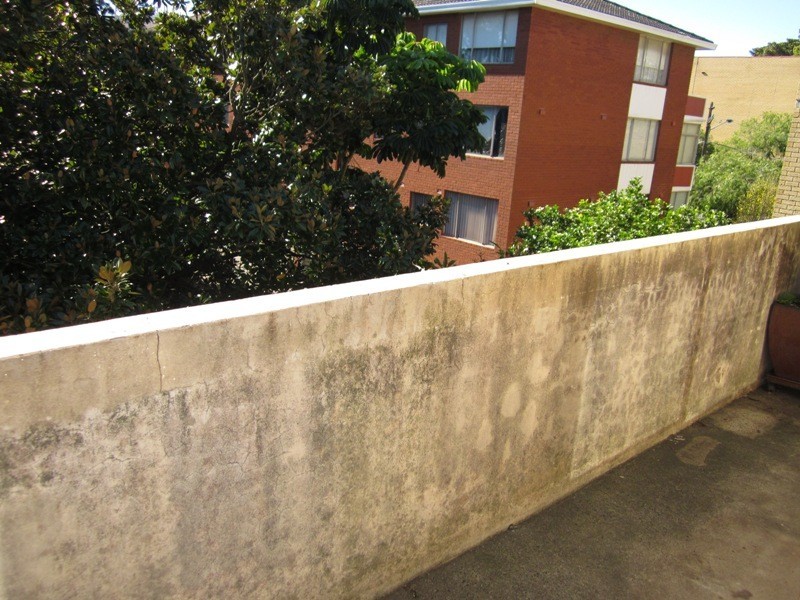 5/29 Blenheim Street, Randwick NSW 2031