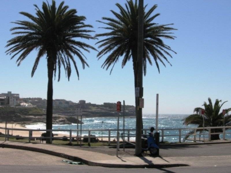 4/489 Bronte Road, Bronte NSW 2024