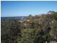 23/47 Murray Street, Bronte NSW 2024