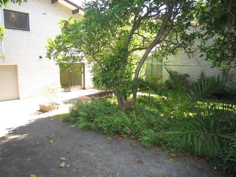 54 Read Street, Bronte NSW 2024