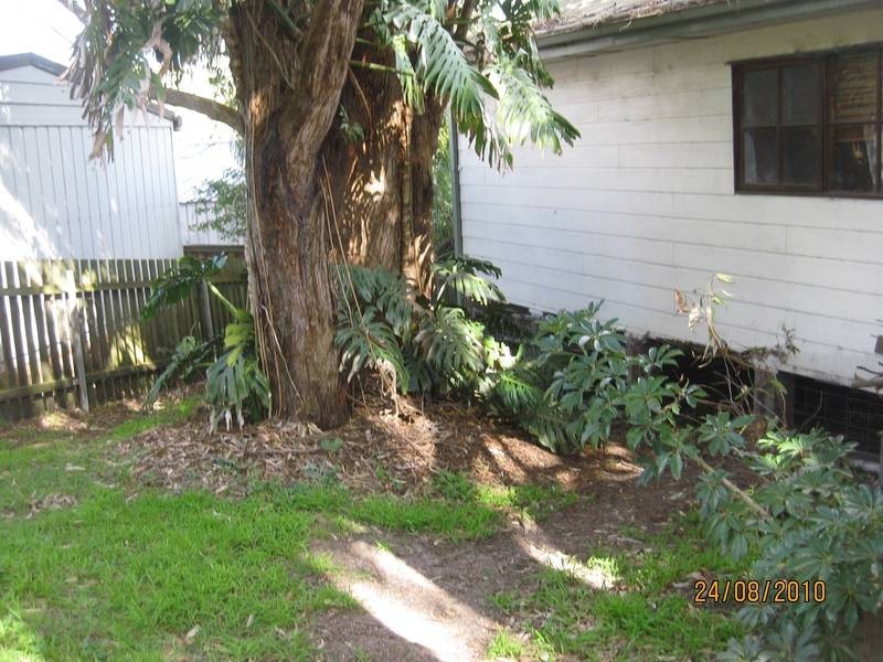21 Central Avenue, Nords Wharf NSW 2281