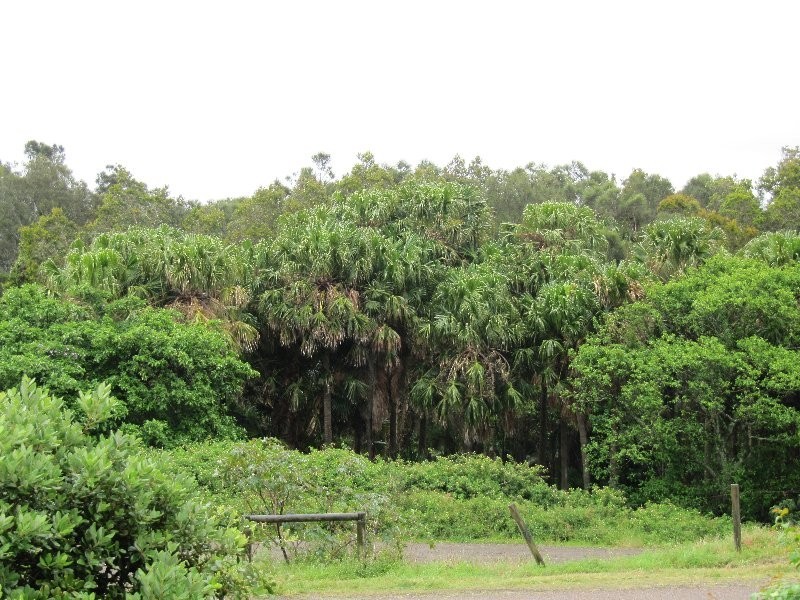 Swansea Heads NSW 2281