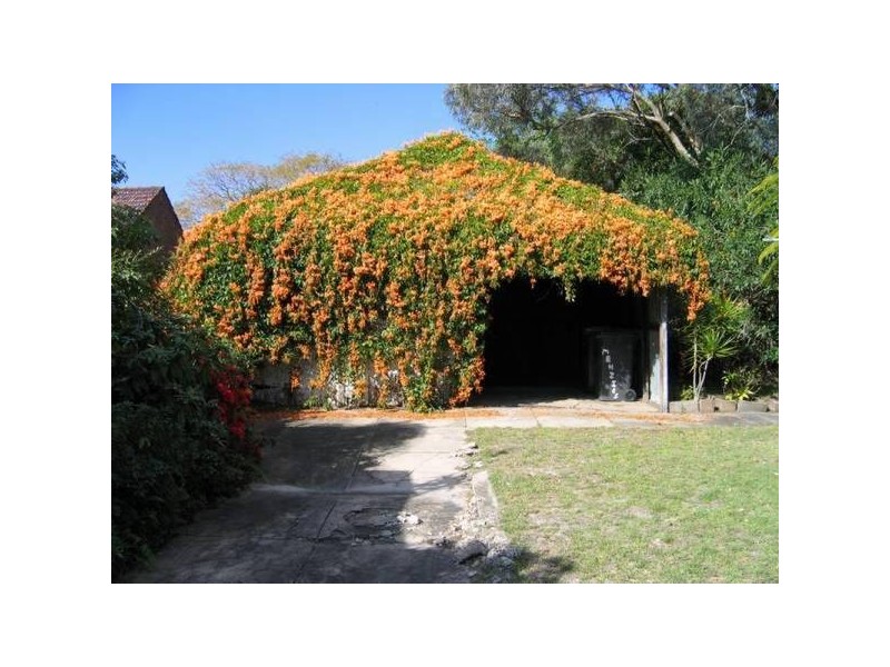 547 Pacific HIGHWAY, Belmont NSW 2280