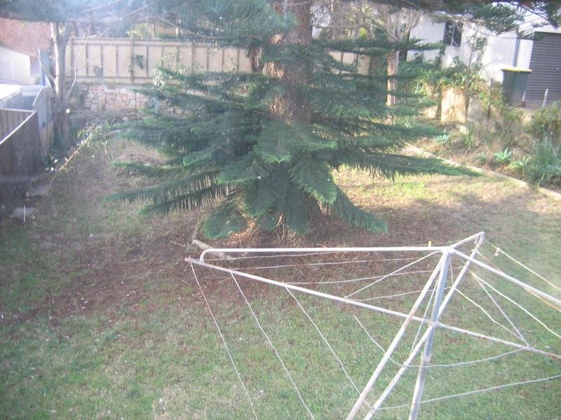 7 Wallsend STREET, Swansea Heads NSW 2281